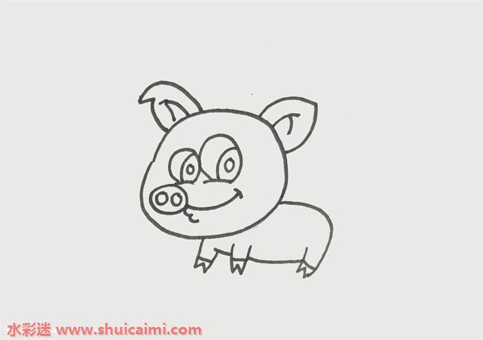 猪猪怎么画 猪猪简笔画彩色
