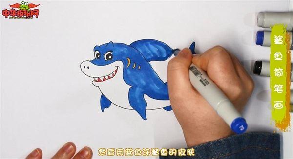 鲨鱼怎么画 鲨鱼简笔画简单好看带颜色