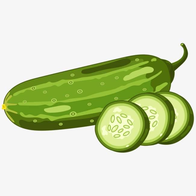 黄瓜简笔画 黄瓜简笔画图片