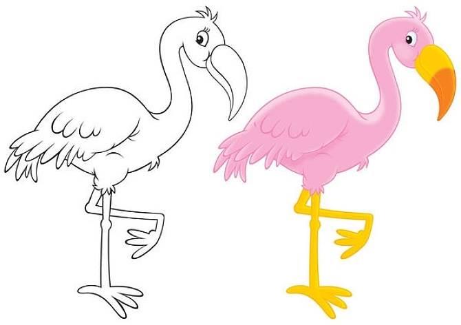 火烈鸟简笔画 火烈鸟简笔画图片