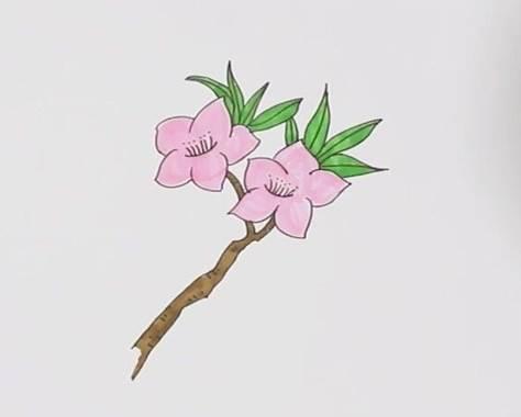 桃花简笔画 桃花简笔画简单又好看