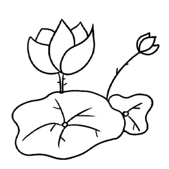 荷花简笔画 荷花简笔画怎么画