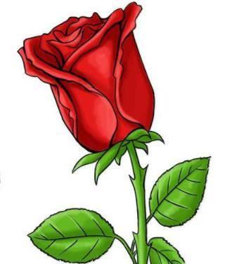 玫瑰花怎么画简笔画又漂亮 玫瑰花怎么画简笔画又漂亮 一步一步