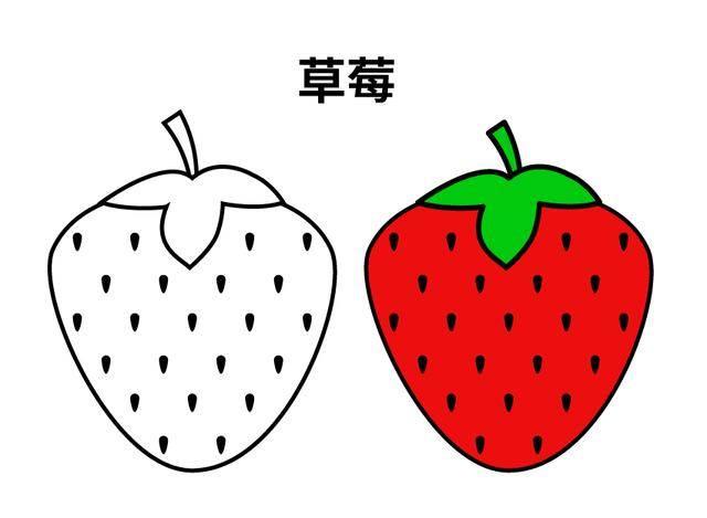水果简笔画图片大全大图 各种水果简笔画图片大全大图