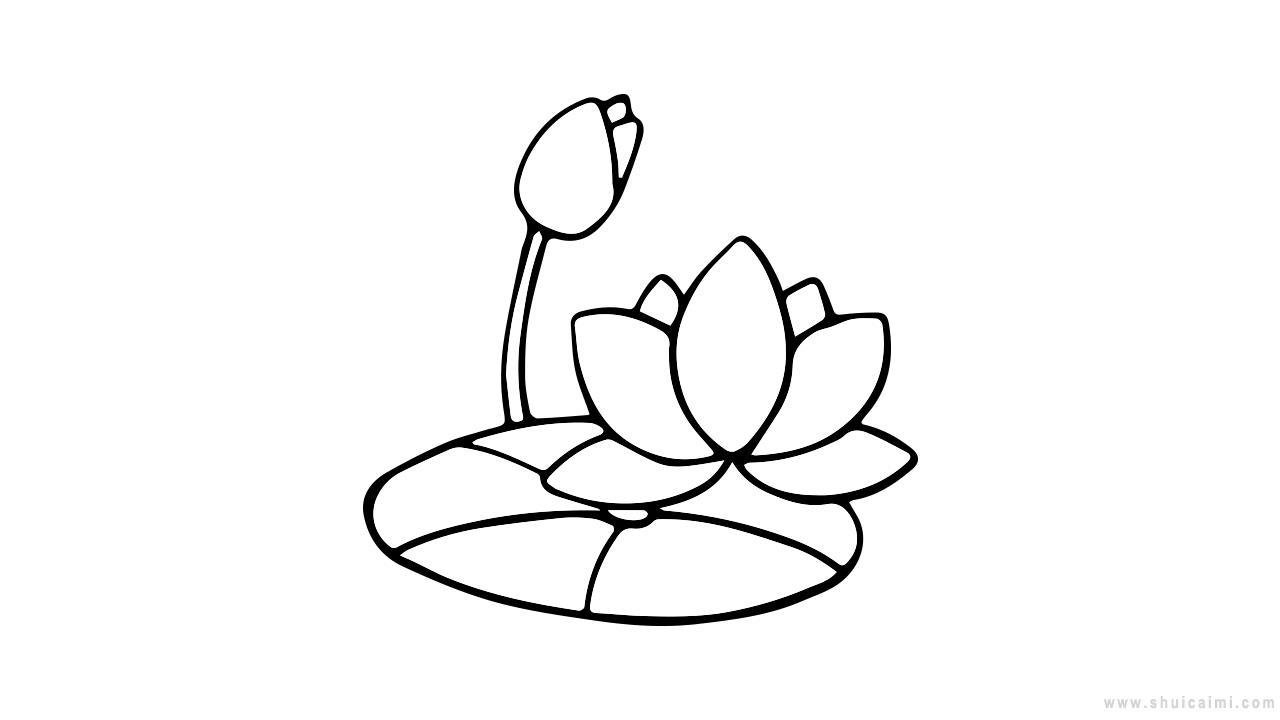 荷叶荷花简笔画怎么画 荷叶荷花简笔画简单