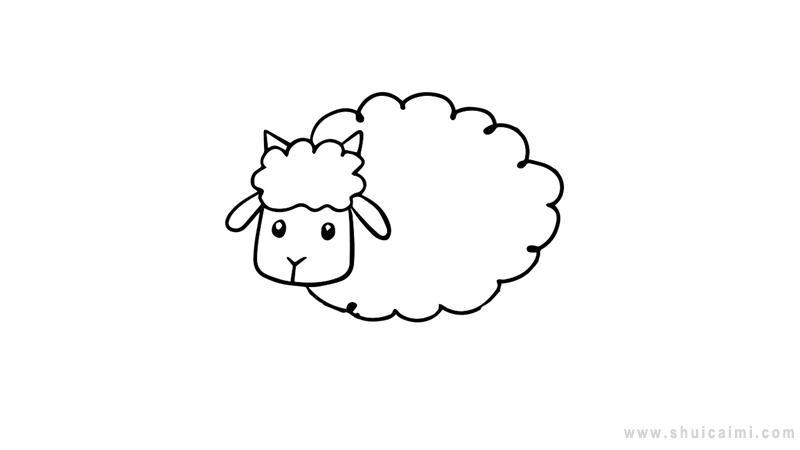小绵羊简笔画怎么画 小绵羊简笔画顺序