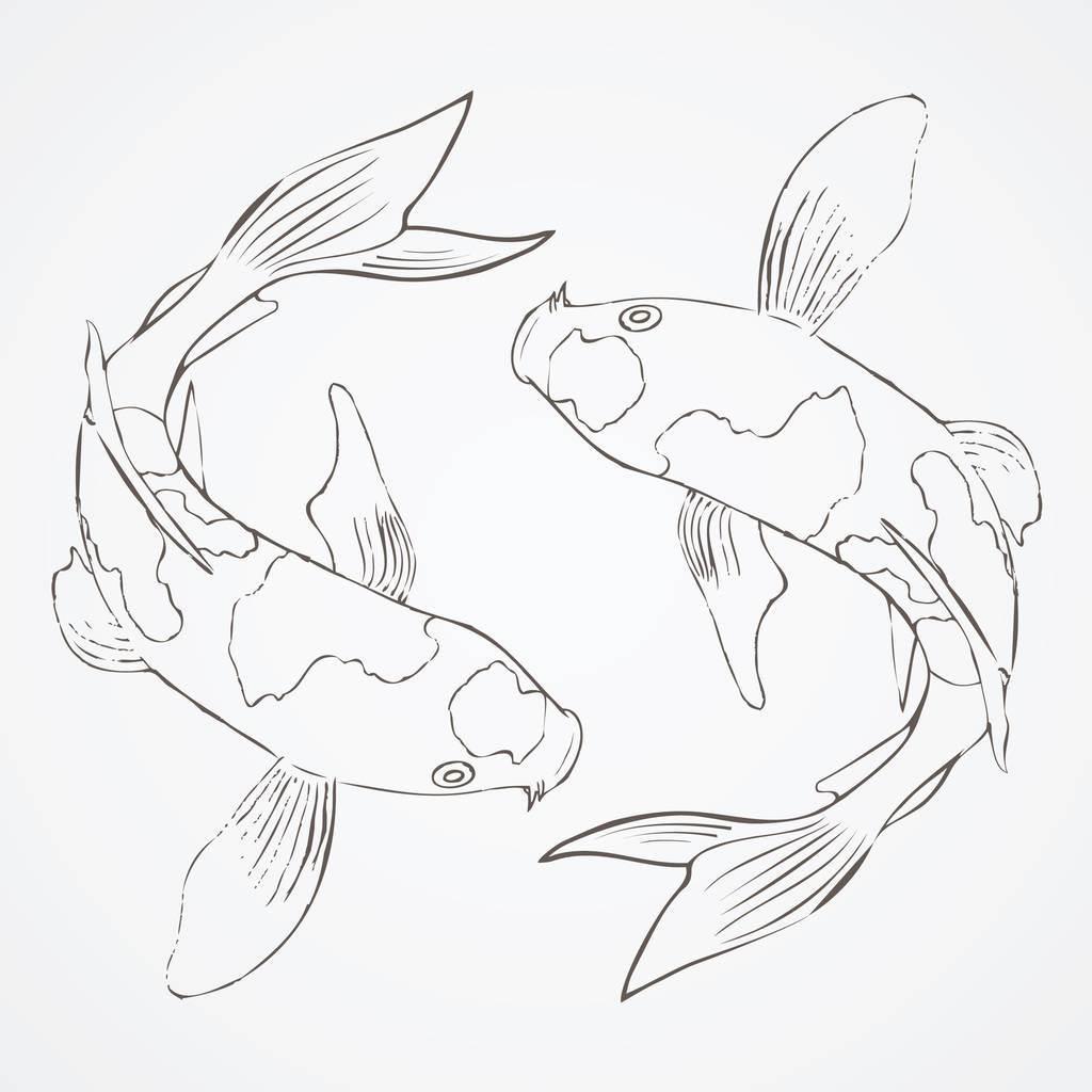 锦鲤简笔画 锦鲤简笔画图片