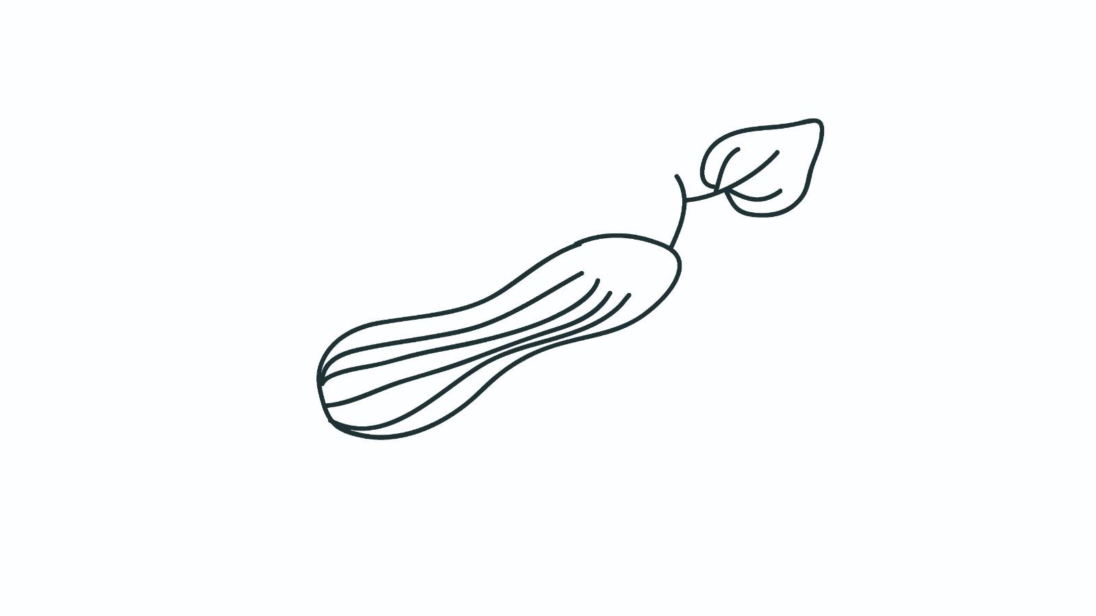 丝瓜简笔画怎么画 丝瓜简笔画画法