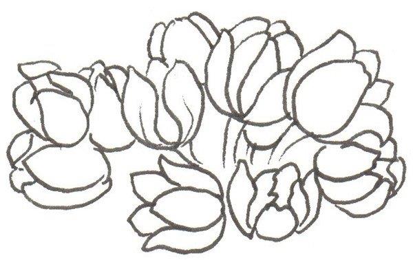 郁金香的简笔画怎么画 郁金香的简笔画好看