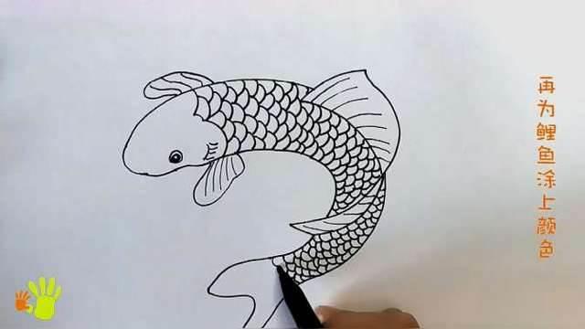 鲤鱼简笔画图片大全 鲤鱼简笔画图片大全彩色简单