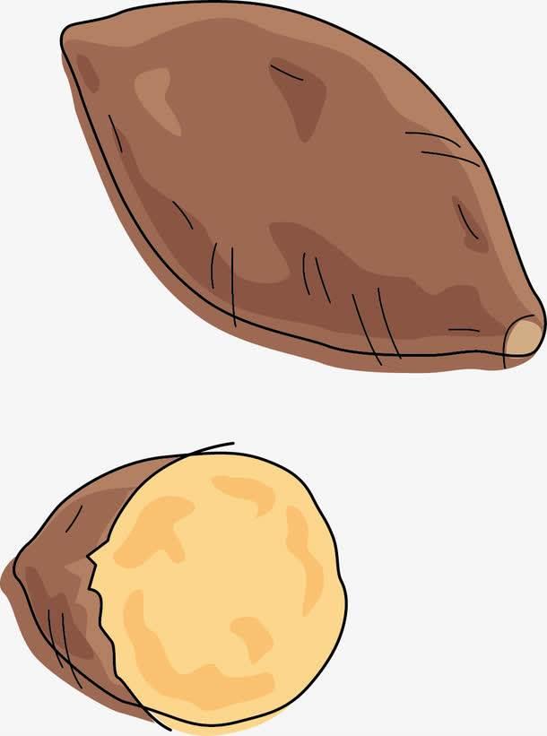 红薯简笔画 红薯简笔画彩色