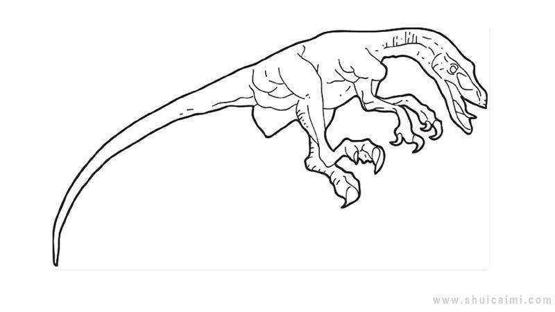 迅猛龙简笔画怎么画 迅猛龙简笔画图片大全
