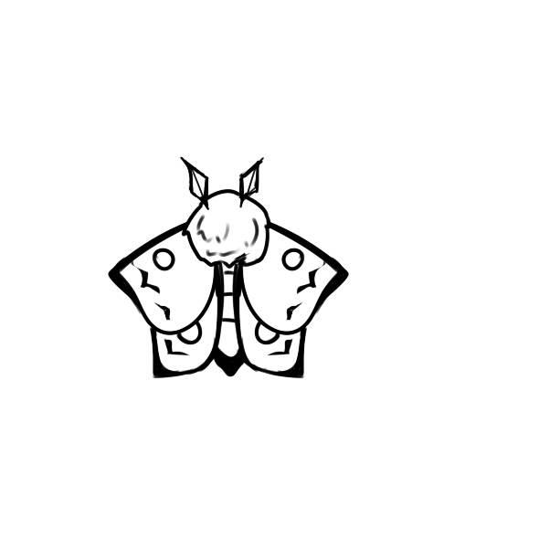 蚕蛾简笔画 蚕蛾简笔画 简单漂亮