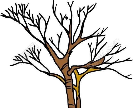 树干简笔画 树干简笔画简单又好看