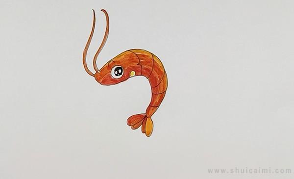 虾简笔画怎么画 虾简笔画画法