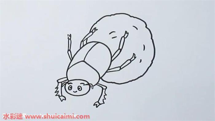 屎壳郎怎么画 屎壳郎简笔画步骤图