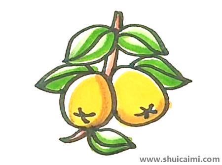 枇杷儿童简笔画