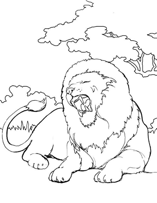 狮子简笔画 狮子简笔画图片彩色