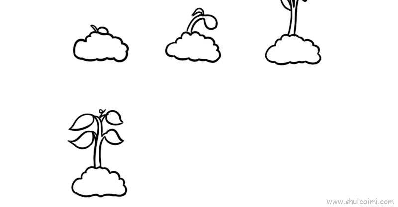 植物生长过程6张儿童画怎么画 植物生长过程6张简笔画图片大全