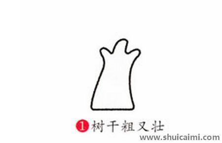 榕树儿童简笔画