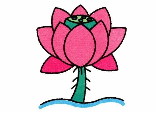 荷花简笔画图片 荷花简笔画图片大全简单漂亮