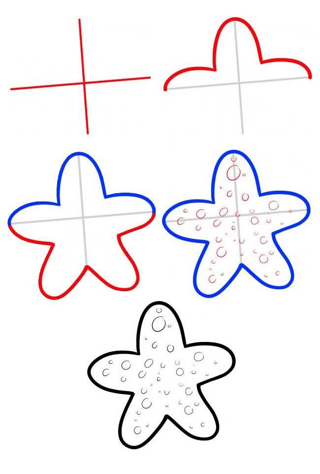 海星简笔画 海星简笔画彩色