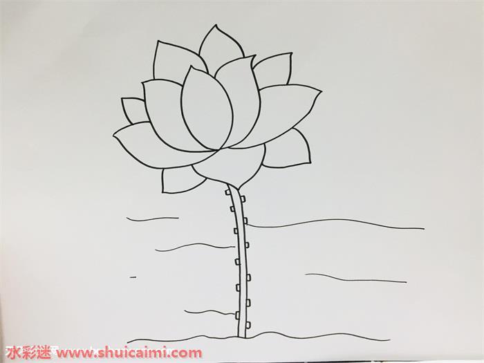 荷花怎么画 简笔画卡通荷花教程步骤