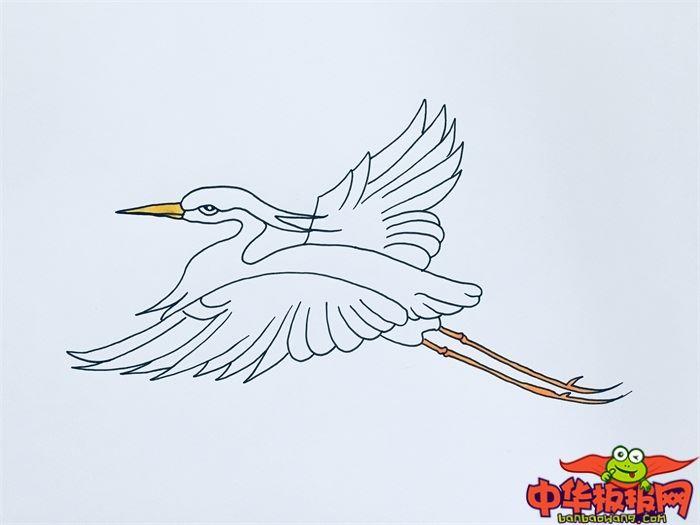 飞翔白鹭怎么画 飞翔白鹭简笔画画法