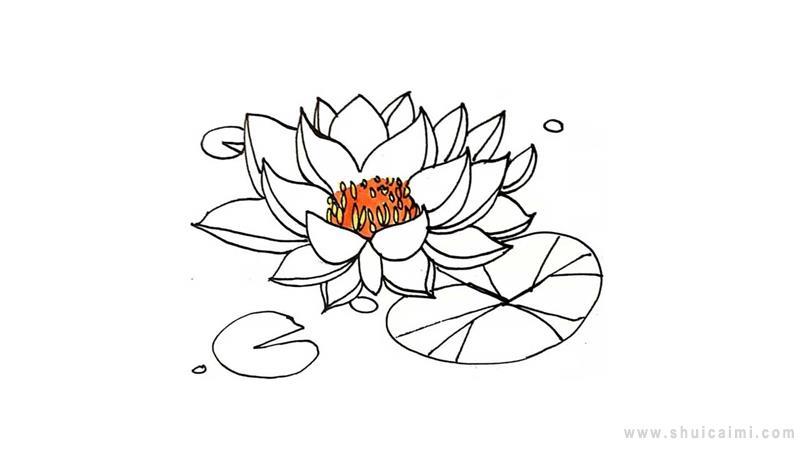睡莲简笔画怎么画 睡莲简笔画图片