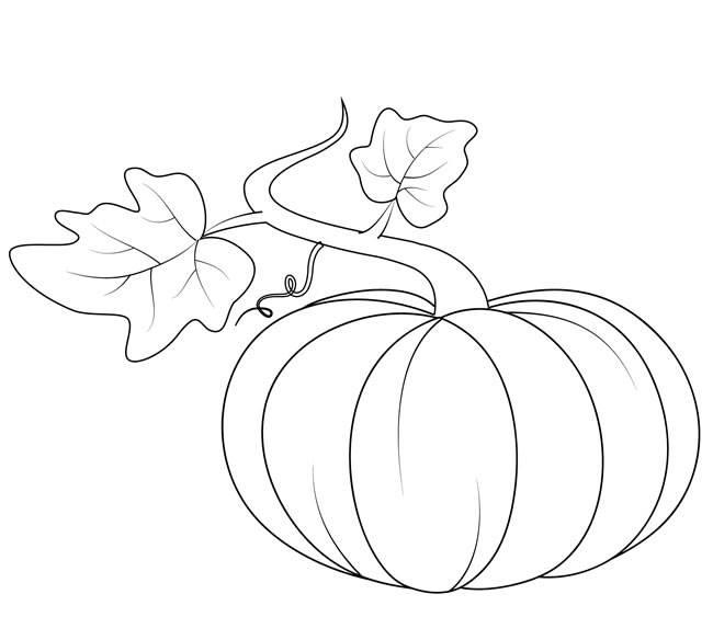 南瓜的简笔画图片大全 南瓜的简笔画图片大全可爱