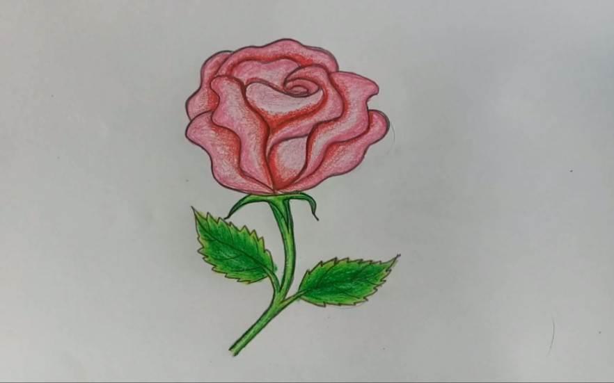 玫瑰花怎么画 玫瑰花怎么画最好看