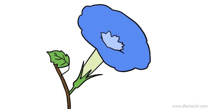 蓝色牵牛花儿童画怎么画 蓝色牵牛花简笔画好看