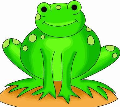 青蛙的简笔画图片大全 简笔画画青蛙图片