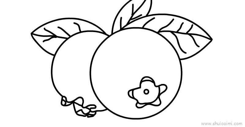 蓝莓儿童画怎么画 蓝莓简笔画步骤