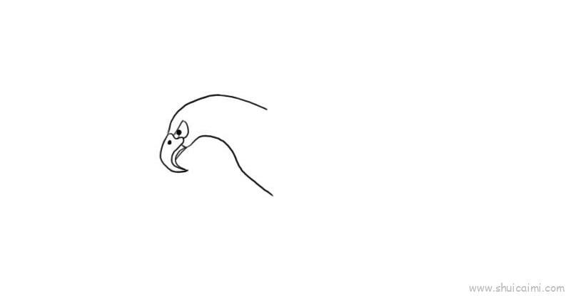 鹰儿童画怎么画 鹰简笔画简单