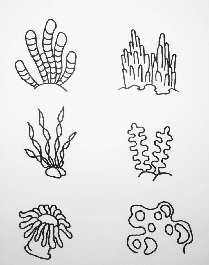 海草简笔画 海草简笔画简单又漂亮