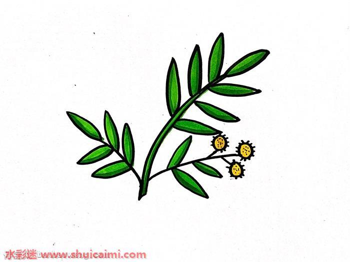 含羞草怎么画 含羞草简笔画漂亮卡通