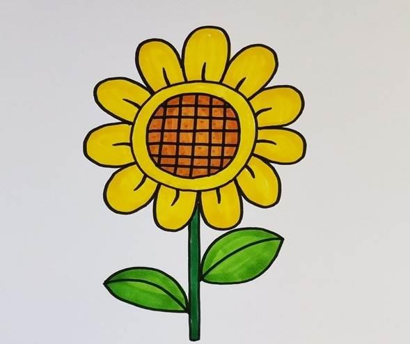 向日葵背景的简笔画 向日葵背景的简笔画怎么画