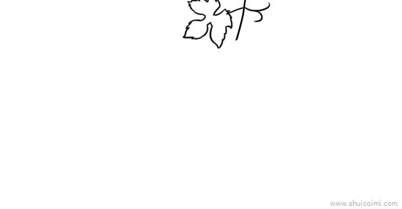 葡萄叶子儿童画怎么画 葡萄叶子简笔画图片大全
