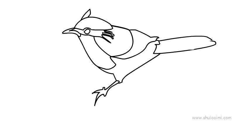 画眉鸟儿童画怎么画 画眉鸟简笔画好看
