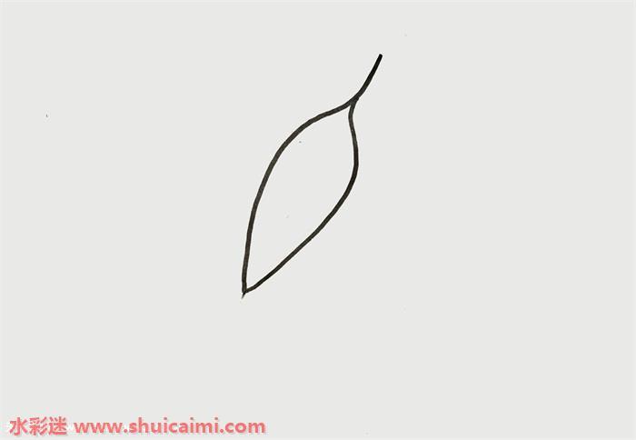 孔雀羽毛怎么画 孔雀羽毛简笔画步骤图