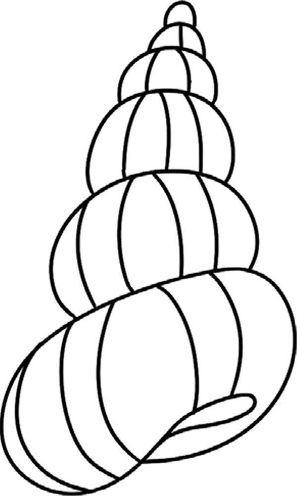 旋转的海螺的简笔画怎么画 旋转的海螺简笔画顺序