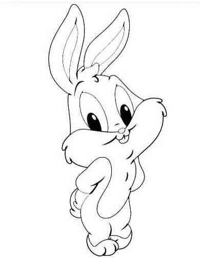 小兔子的简笔画 小兔子的简笔画