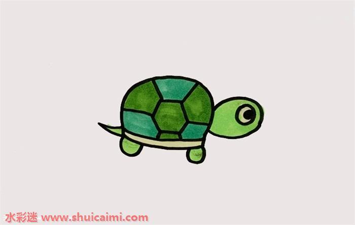 乌龟怎么画 乌龟简笔画步骤
