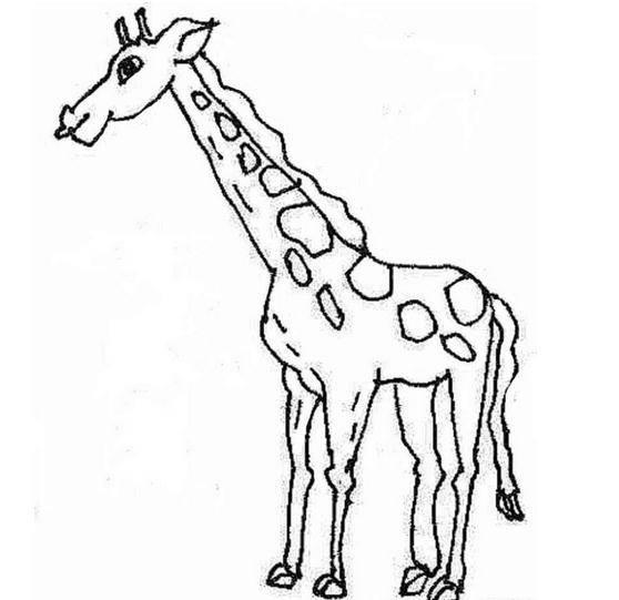 简笔画动物图片大全 简笔画动物图片大全带颜色