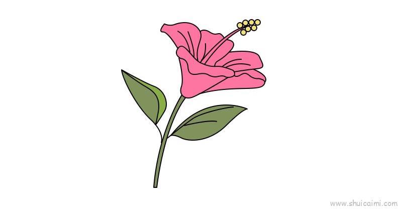 扶桑花儿童画怎么画 扶桑花简笔画图片