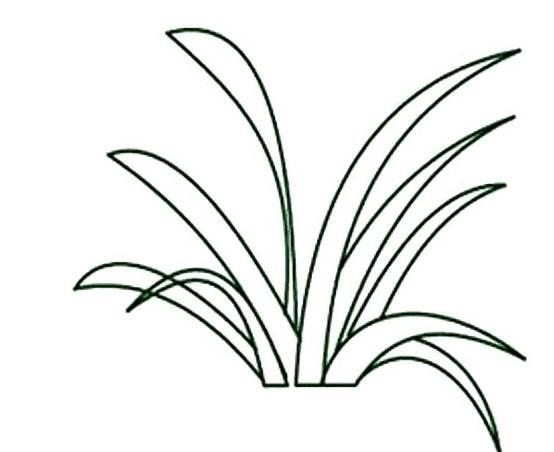 小草简笔画 小草简笔画简单又漂亮