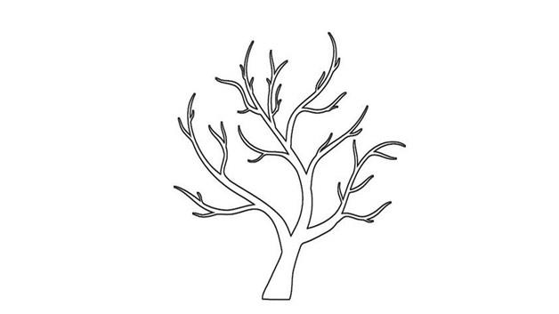树干简笔画怎么画 树干简笔画步骤