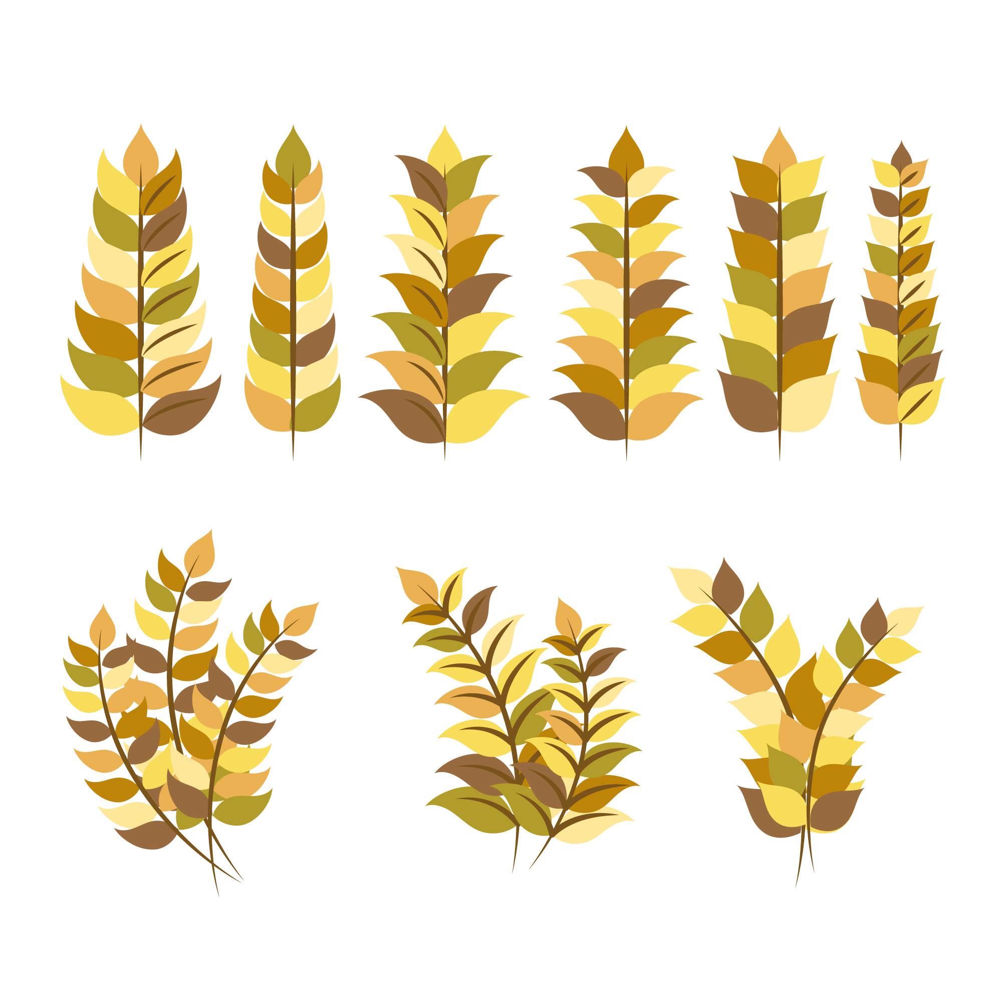 麦穗怎么画 麦穗边框图案大全