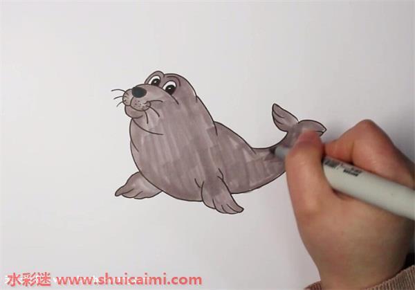 海豹怎么画 海豹简笔画简单好看带颜色